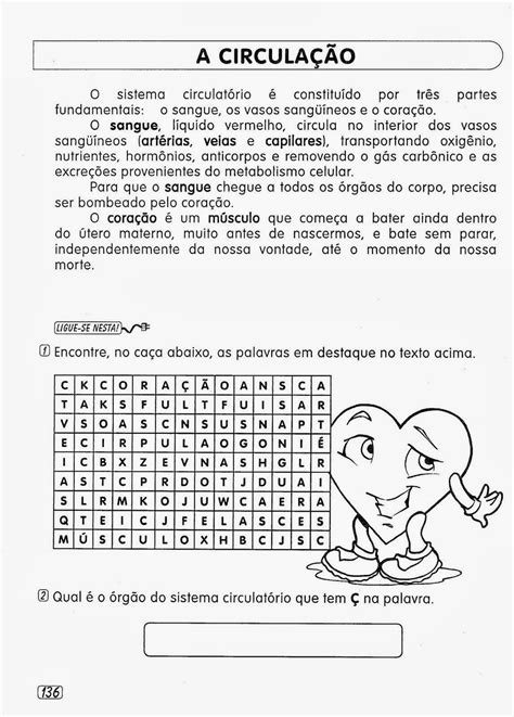 Sistema Circulatório 5 Ano