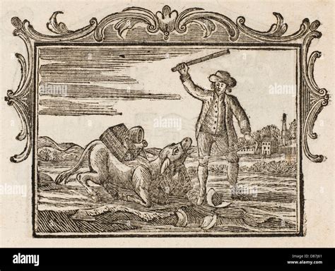 Ass Master Fable Xlv Stock Photo Alamy