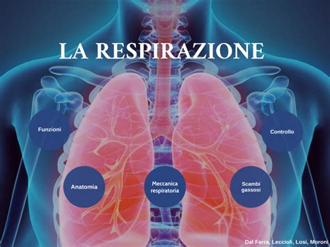 La Respirazione By Moroni Gaia On Prezi