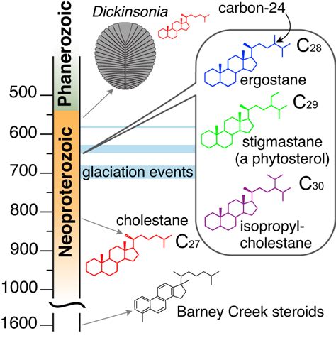 Overview of the Neoproterozoic sterane record The geologic timescale is ...