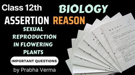 Assertion And Reason Sexual Reproduction In Flowering Plants Cbse