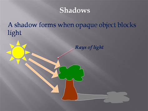 Science8 Semester 1 Chapter 8 Light