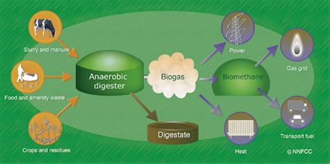 Biomass The Benefits Of Anaerobic Digesters ResourceKraft