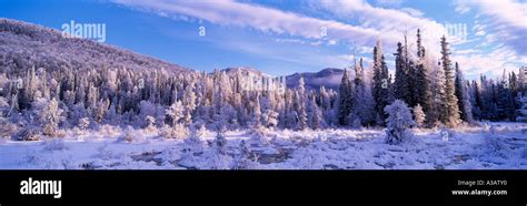 Winter Setting near Liard Hot Springs in Liard River Hotsprings ...