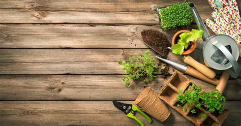 Urban Gardening So Klappt Der Gem Se Anbau Auf Dem Balkon