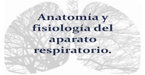 Anatom A Y Fisiolog A Del Aparato Respiratorio Pdf Document