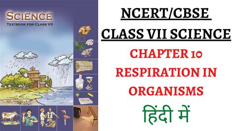 Chapter 10 Respiration In Organisms Class 7 SCIENCE NCERT UPSC PSC