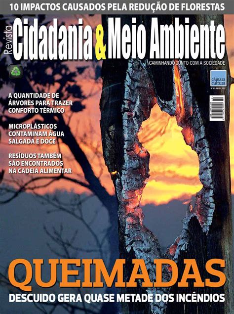 Revista Cidadaniaandmeio Ambiente Câmara De Cultura