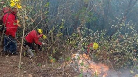 Persiste Incendio En Tenango De Doria Buscan Impedir Que Alcance Casas