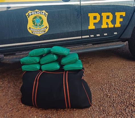 PRF apreende 10 7 kg de maconha passageira de ônibus em Altamira