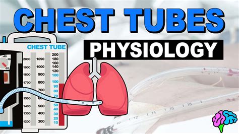 Chest Tube Physiology Review Youtube