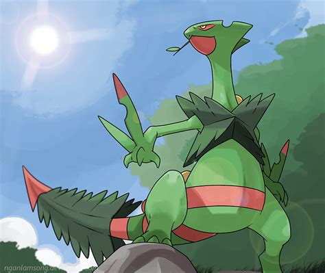 Treecko Hd Phone Wallpaper Pxfuel