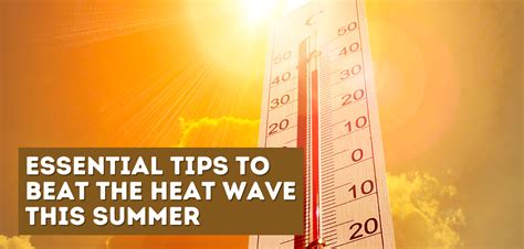 Essential Tips to Beat the Heat wave This Summer - Rasala