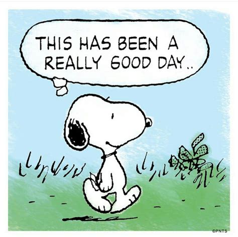 Today Has Been A Really Good Day Positive Snoopy Snoopy Quotes