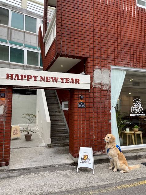 반려생활 애견동반카페 부산 광안리 펫 프렌들리 디저트 맛집 해피뉴이어