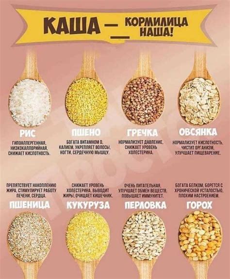 Какие бывают каши?