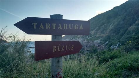 Trilha Da Pedra Da Tartaruga Rj Barra De Guaratiba Zona Oeste Rio