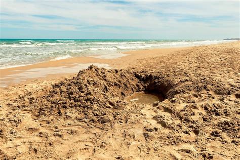 Sand Hole Deaths Why They Happen How Often—and How To Stay Safe