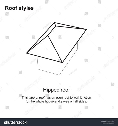 Roof Styles Graphic Roof Types Various Stock Vector Royalty Free