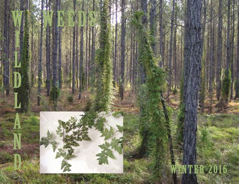 KY-IPC - Kentucky Invasive Plant Council