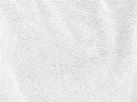 White clean wool texture background. light natural sheep wool. white seamless cotton. texture of ...