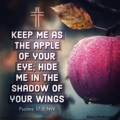 Apple Of Your Eye I Live For Jesus