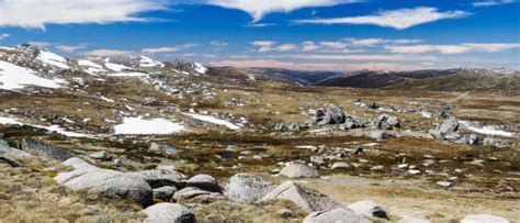 Snowy Mountains Australia S Skiing And Hiking Paradise Travelmyne