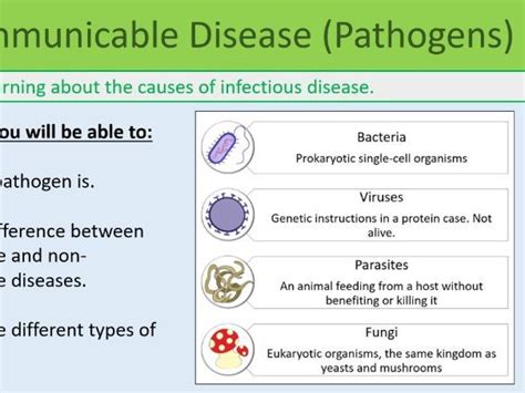 Pathogens Lesson Gcse Biology Teaching Resources