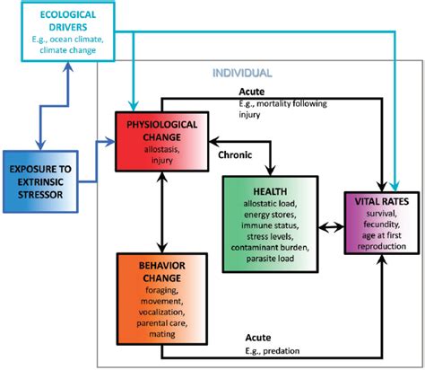 Summary Approaches To Understanding The Cumulative Effects Of