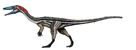 Coelophysis Dinopedia Fandom