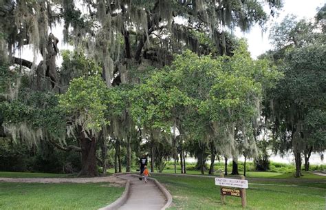 Vista Trasera De Padre E Hijo Caminando En El Parque Foto Premium