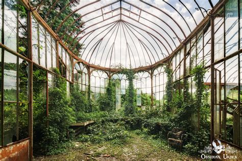 Abandoned Greenhouse In Belgium OC R AbandonedPorn