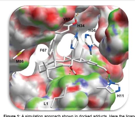 Molecular Docking Approaches Types Applications And Basic Challenges