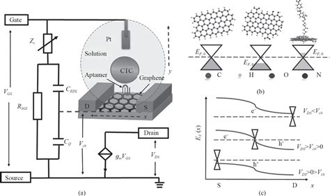 A Comprehensive Study On The Theory Of Graphene Solutiongated Field