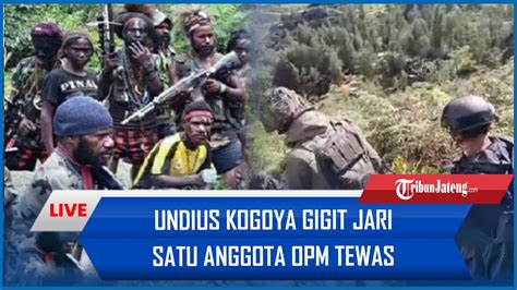 UNDIUS KOGOYA GIGIT JARI Satu Anggota OPM Tewas Rupanya Desertir TNI