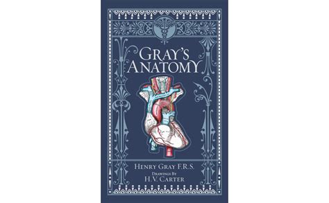 Gray S Anatomy Barnes Noble Collectible Classics Omnibus Edition