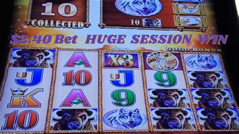 Bet Huge Session Win With Buffalo And Sunset Multiplier On