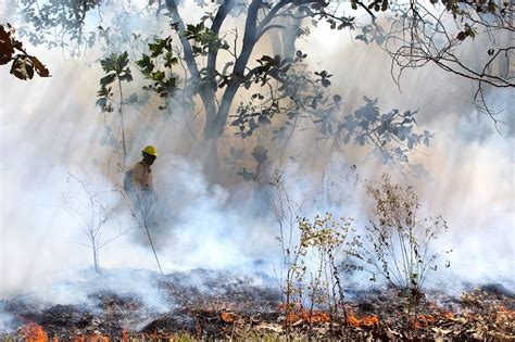 Incendios Forestales Se Intensifican En Abril Y Mayo Alerta Conafor E