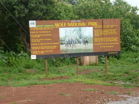 Ghana's top 5 national parks you must visit – Accra Mail