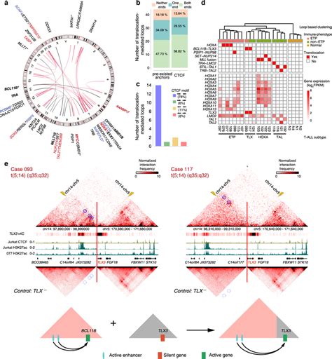 Chromosomal Rearrangements In T Alls A The Genomic Landscape Of