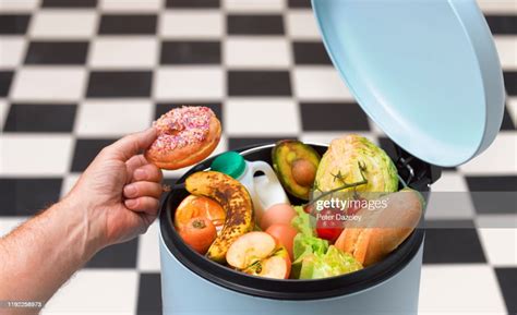 bin full  thrown  food high res stock photo getty images