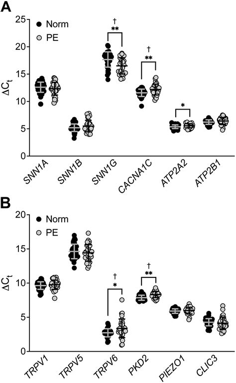 Altered Placental Ion Channel Gene Expression In Preeclamptic High