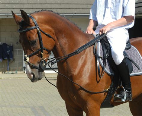 John Whitaker Draw Reins Rope Draw Reins Draw Reins And Training