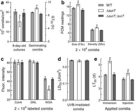 Impacts Of Sur7 Deletion On Conidiation Capacity And Conidial Quality