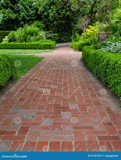 Caminhos Do Tijolo Através De Um Jardim Foto de Stock Imagem de