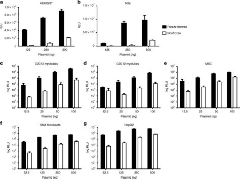 Lipid Based Transfection Reagents Exhibit Cryo Induced Increase In