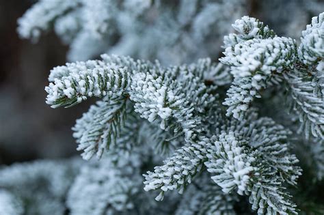 Wetter In Deutschland Jetzt Kommt Der Schnee