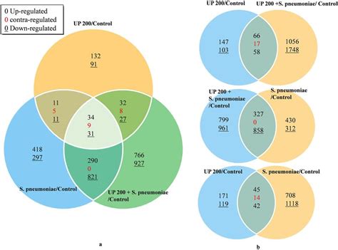 Venn Diagrams Illustrating Differential Gene Expression In HMEECs