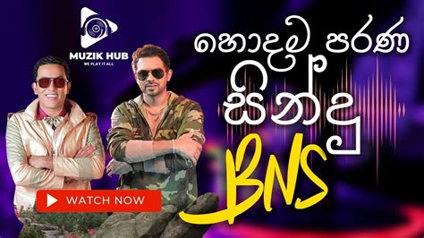 Best Of Bns Bhathiya And Santhush භාතිය සන්තුශ්ගේ හොදම පරණ ටික Sinhala Songs Youtube