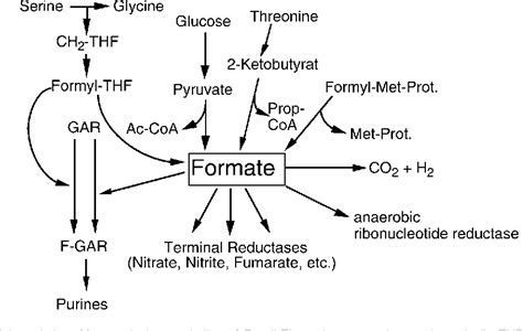 Figure From The Molecular Biology Of Formate Metabolism In